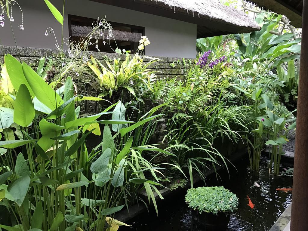 Bali Villa Aja Seminyak Kültér fotó